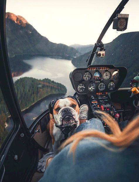 morning picdump 54 pics 12.html - 54 HD Photos | Premium Gallery 2019