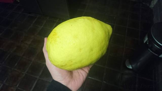 daily picdump 101 pics 38.html - 101 HD Photos | Premium Gallery 2019