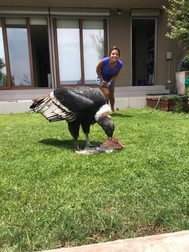 daily picdump 101 pics 38.html - 101 HD Photos | Premium Gallery 2019