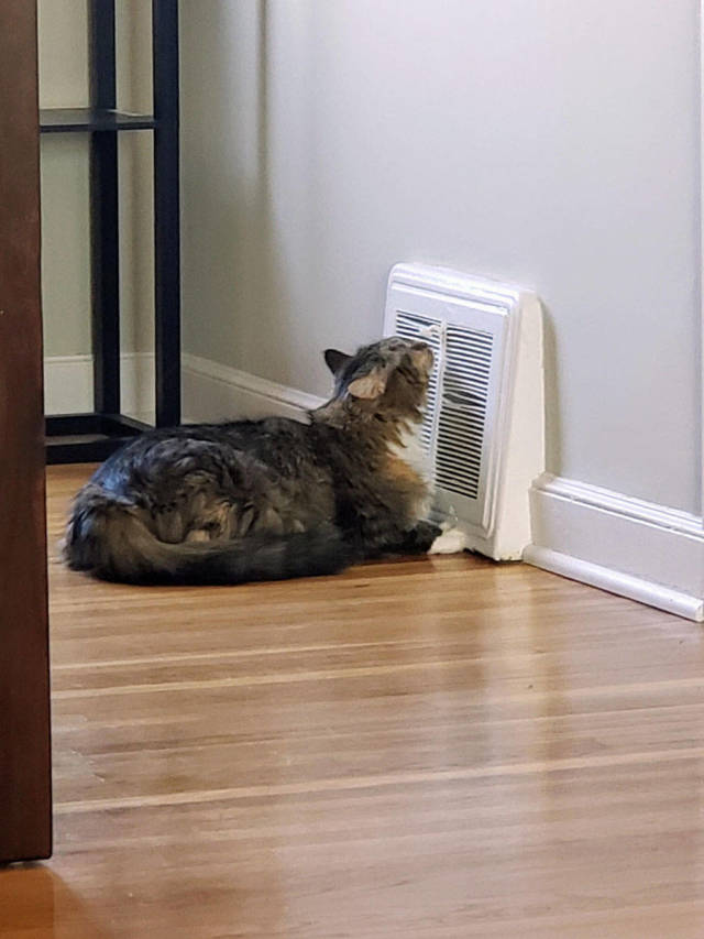 daily picdump 101 pics 38.html - 101 HD Photos | Premium Gallery 2019