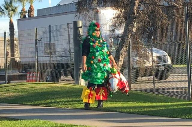 daily picdump 101 pics 38.html - 101 HD Photos | Premium Gallery 2019