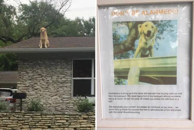 daily picdump weekend edition 63 pics 4.html - 63 HD Photos | Premium Gallery 2019