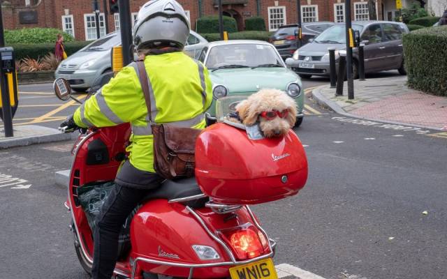 daily picdump 103 pics 15.html - 103 HD Photos | Premium Gallery 2019