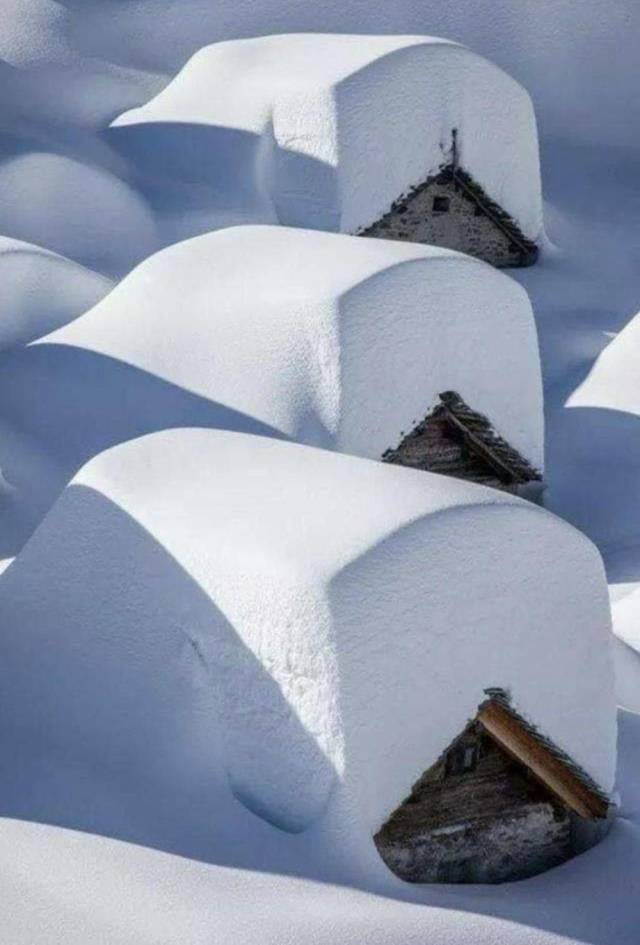 daily picdump 103 pics 15.html - 103 HD Photos | Premium Gallery 2019