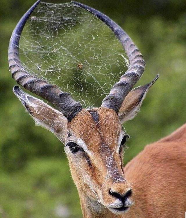 daily picdump 103 pics 15.html - 103 HD Photos | Premium Gallery 2019