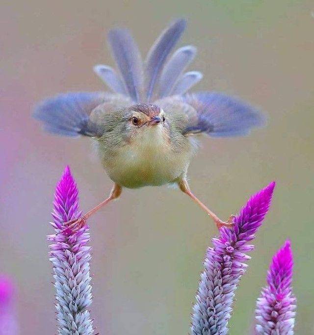 daily picdump 103 pics 15.html - 103 HD Photos | Premium Gallery 2019