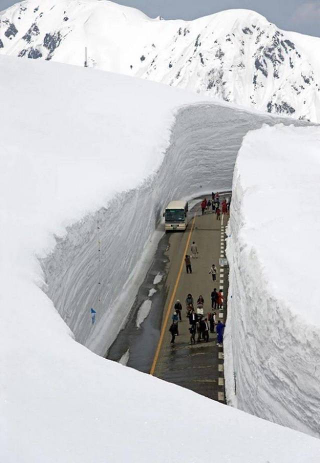 daily picdump 103 pics 15.html - 103 HD Photos | Premium Gallery 2019