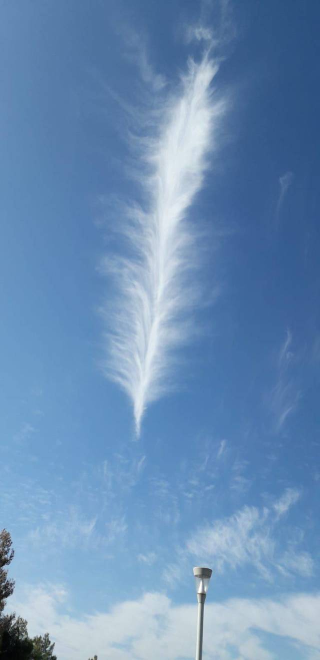 daily picdump 103 pics 15.html - 103 HD Photos | Premium Gallery 2019