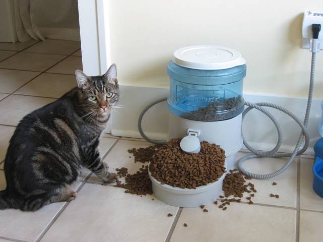 daily picdump 93 pics 39.html - 93 HD Photos | Premium Gallery 2019