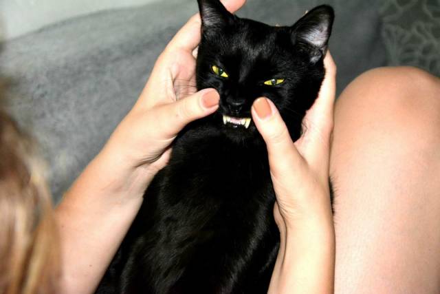 daily picdump 93 pics 39.html - 93 HD Photos | Premium Gallery 2019