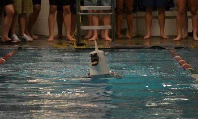 daily picdump 93 pics 39.html - 93 HD Photos | Premium Gallery 2019