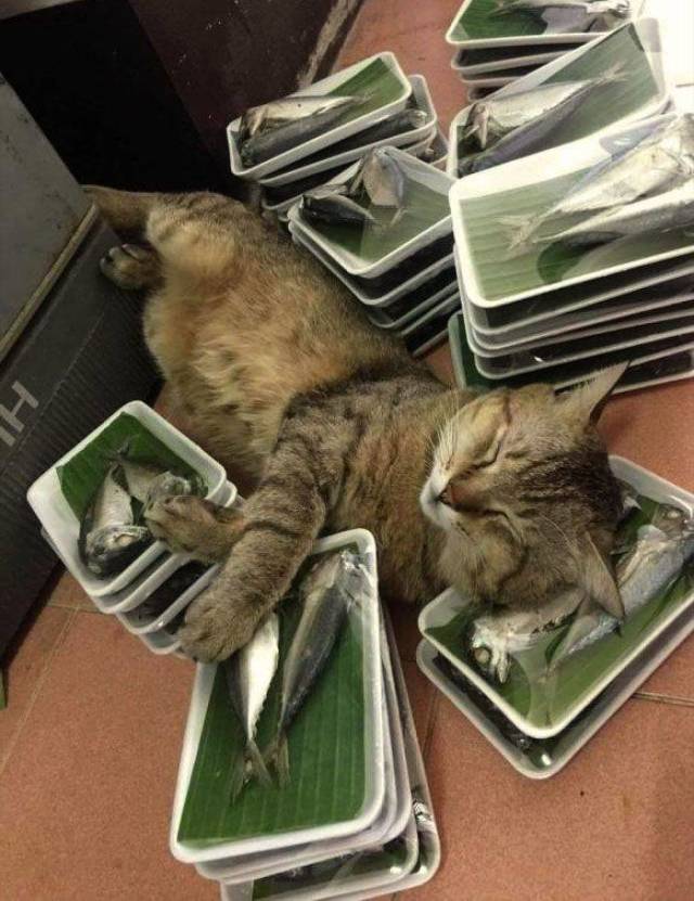 daily picdump 93 pics 39.html - 93 HD Photos | Premium Gallery 2019