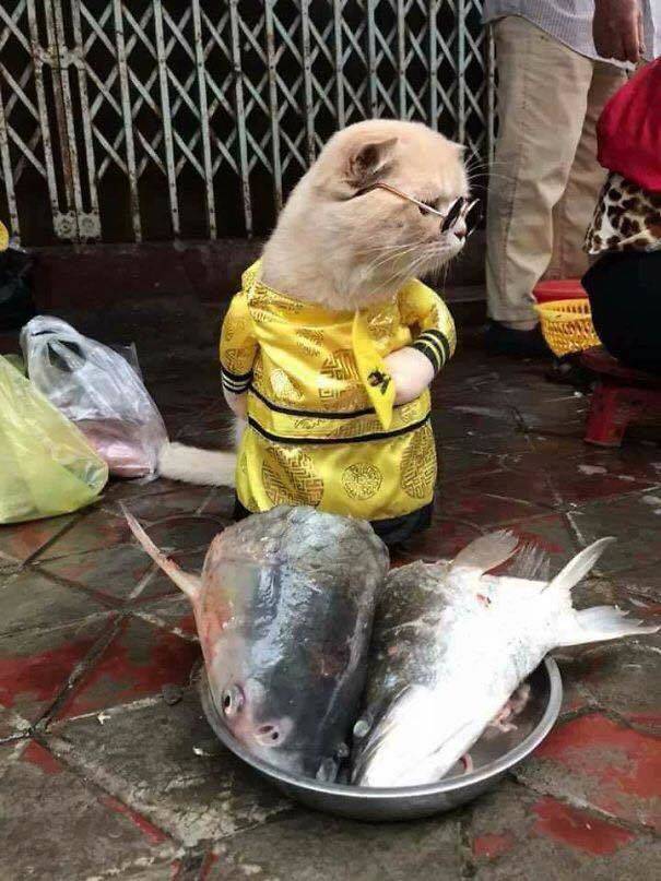 Morning Picdump