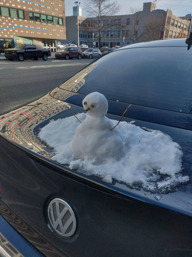Morning Picdump