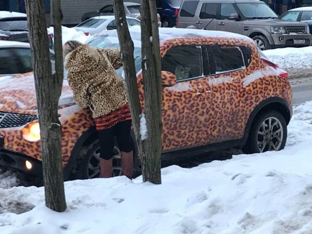 daily picdump 96 pics 25.html - 96 HD Photos | Premium Gallery 2019