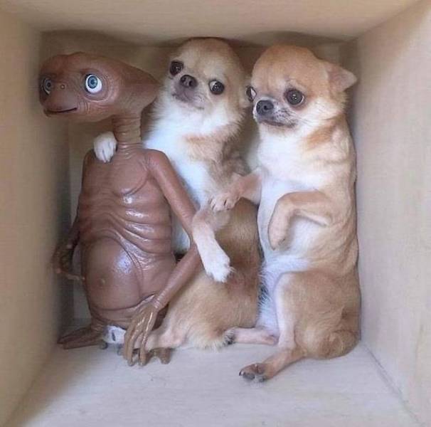 daily picdump 96 pics 25.html - 96 HD Photos | Premium Gallery 2019