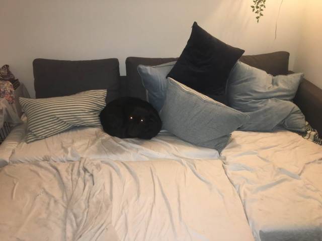 daily picdump 96 pics 25.html - 96 HD Photos | Premium Gallery 2019