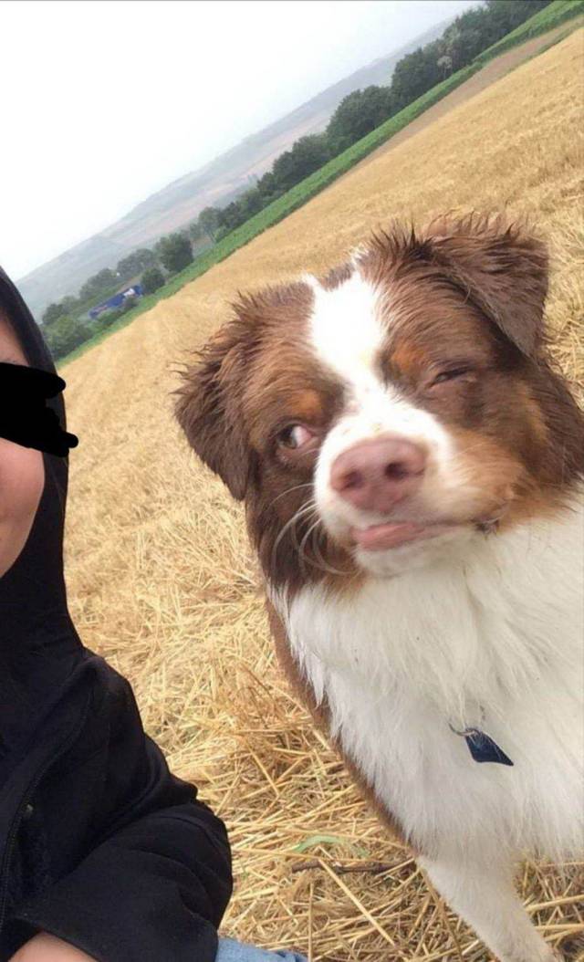 daily picdump 96 pics 25.html - 96 HD Photos | Premium Gallery 2019