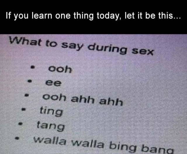 funny picdump 53 pics 2.html - 53 HD Photos | Premium Gallery 2019