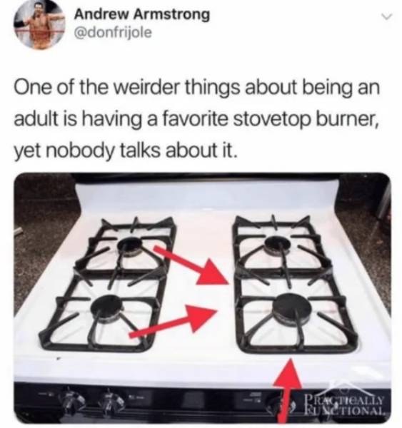 Is There Even A Person Who Knows How To Adult?