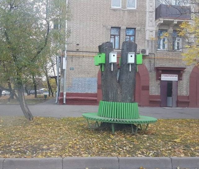 What The Actual Hell?!