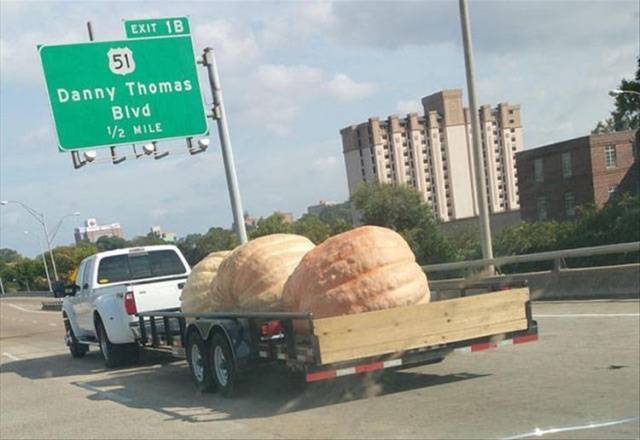 What The Actual Hell?!