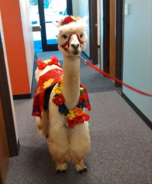 What The Actual Hell?!