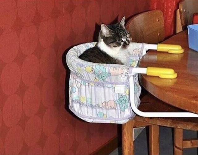 morning picdump 55 pics 9.html - 55 HD Photos | Premium Gallery 2019