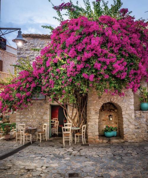 morning picdump 55 pics 9.html - 55 HD Photos | Premium Gallery 2019