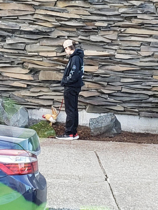 morning picdump 55 pics 9.html - 55 HD Photos | Premium Gallery 2019