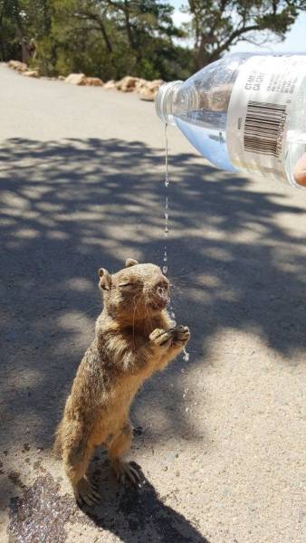 page,14,top 500 nsfw pics of the year 2019.html - 1 HD Photos | Premium Gallery 2019