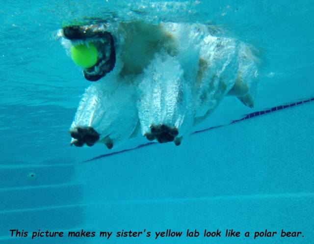 daily picdump 99 pics 34.html - 99 HD Photos | Premium Gallery 2019