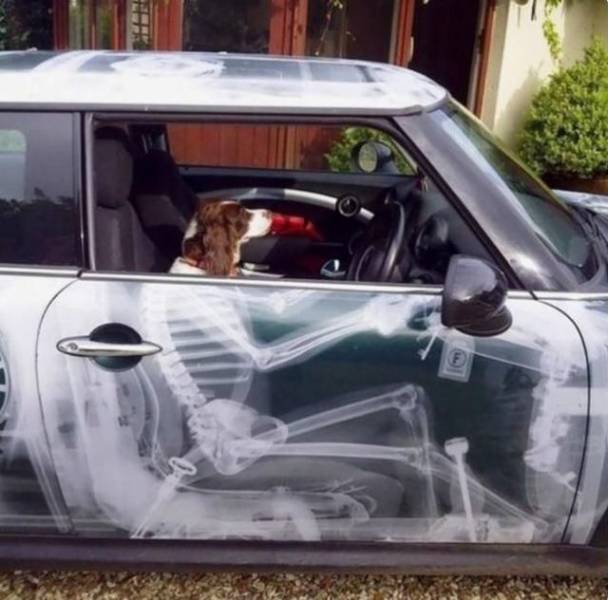 daily picdump 99 pics 34.html - 99 HD Photos | Premium Gallery 2019