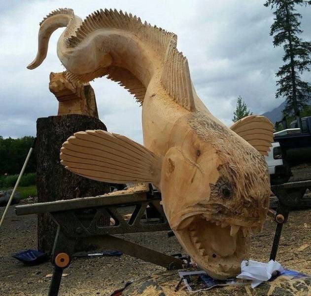 daily picdump 99 pics 34.html - 99 HD Photos | Premium Gallery 2019