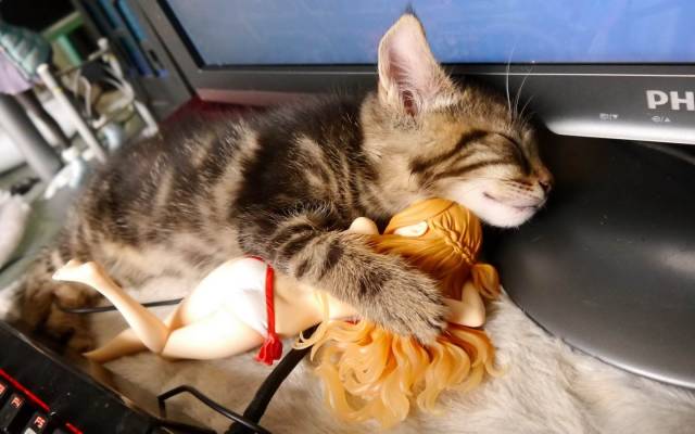 daily picdump 99 pics 34.html - 99 HD Photos | Premium Gallery 2019