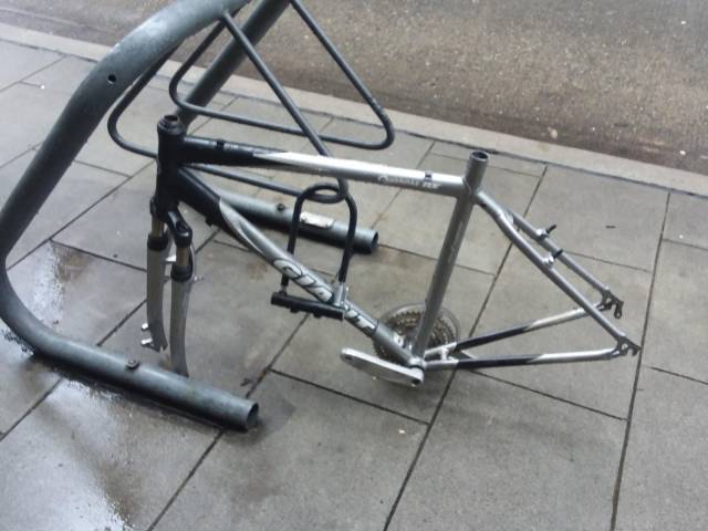 daily picdump 99 pics 34.html - 99 HD Photos | Premium Gallery 2019