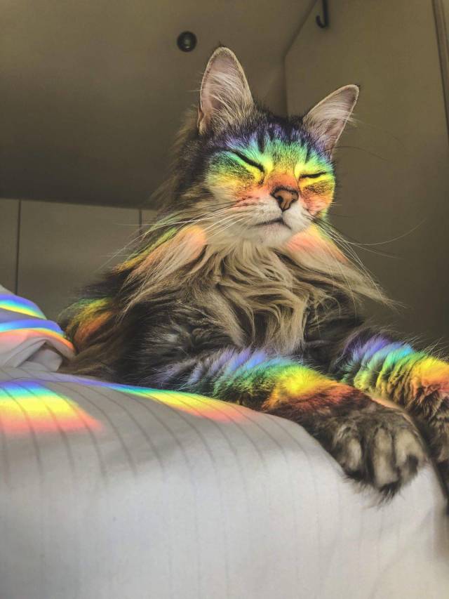 daily picdump 99 pics 34.html - 99 HD Photos | Premium Gallery 2019