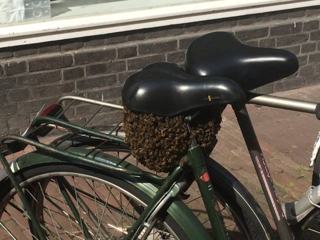 morning picdump 50 pics 13.html - 50 HD Photos | Premium Gallery 2019