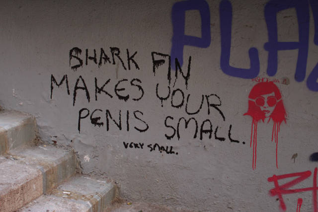 morning picdump 50 pics 13.html - 50 HD Photos | Premium Gallery 2019