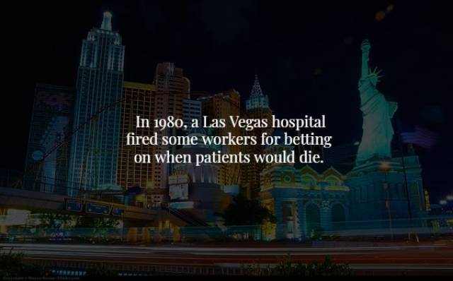 top 100 interesting pics of the year 2019.html - 1 HD Photos | Premium Gallery 2019