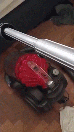 Best Friends Are VERY Dangerous