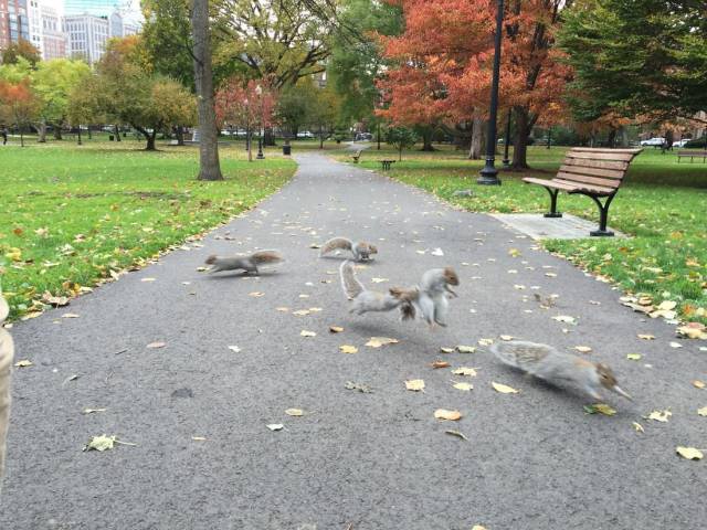 daily picdump 95 pics 24.html - 95 HD Photos | Premium Gallery 2019