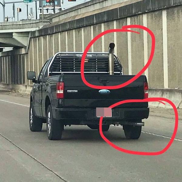 daily picdump 95 pics 24.html - 95 HD Photos | Premium Gallery 2019