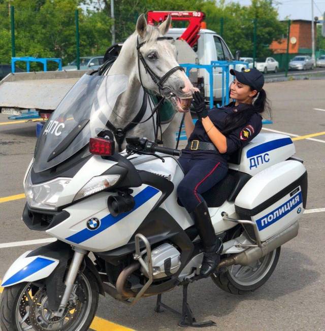 daily picdump 95 pics 24.html - 95 HD Photos | Premium Gallery 2019