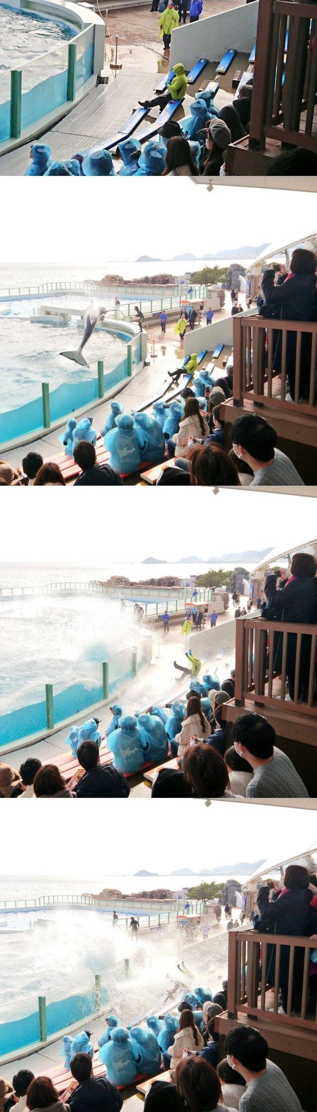 daily picdump 95 pics 24.html - 95 HD Photos | Premium Gallery 2019