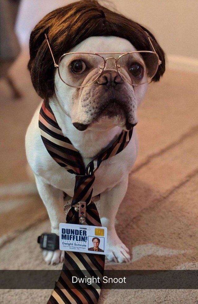 daily picdump 95 pics 24.html - 95 HD Photos | Premium Gallery 2019