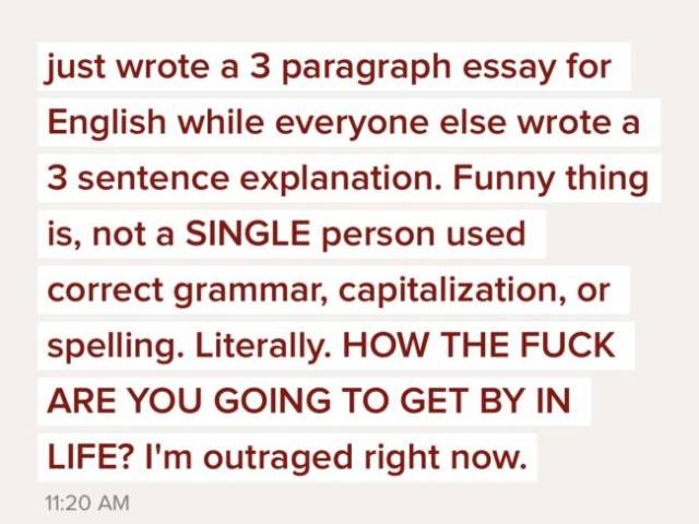 Just Look How Smart They Are!