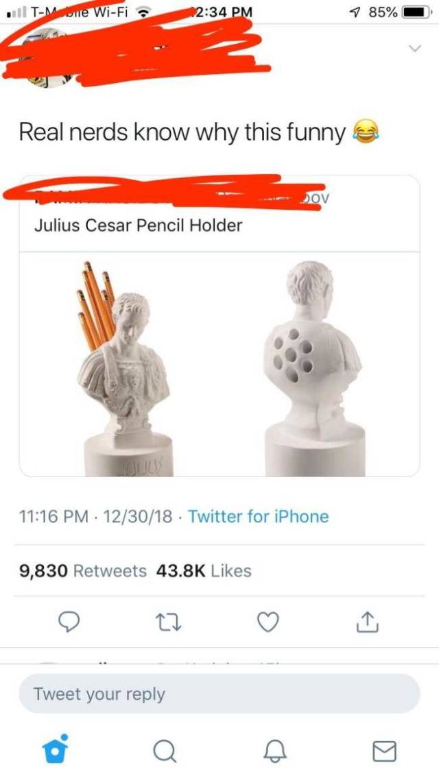 Just Look How Smart They Are!