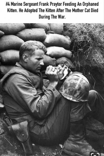 top 100 interesting pics of the year 2019.html - 1 HD Photos | Premium Gallery 2019