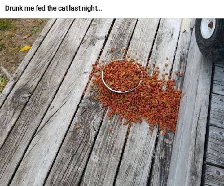 Drunk People Do So Many Stupid Things